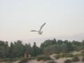 IMG 9992