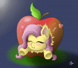 fluttershy-mane-6-...1021844