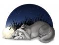 can  t    sleep   ...d34rain