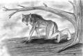1252037812.naira w...cture01