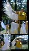 WIP Costume Wings ...ybrook1