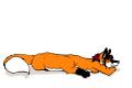 1236063907.rhari d...ppysigh