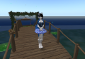 Snapshot 002