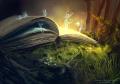 1349640238.alector...ime web
