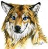 1227157389 wolfman121