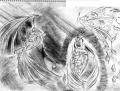 a 1209145517 safu ...adshimi