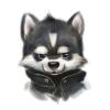 1324658002.silverf...an copy