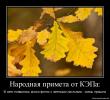 1315425597-narodna...t-kyepa