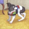 1278593408.christa...ingtail