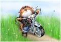 1285357761 4700096...2bff352