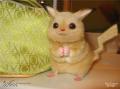 1252871151 pokemon5004
