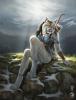 1268.balaa stormke...d balaa