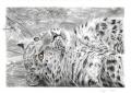 1311360071.dimasbka leopard2