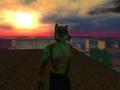 Snapshot 001