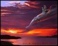 1360905690.vantid skysquidcc