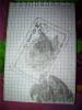 7d2029b2ccf9