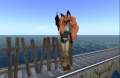Snapshot 004