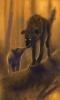 forest_fire_by_sheba_lord.jpg