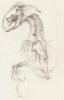 2006 cute drake sketch