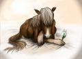 acinyo horse3