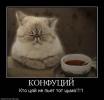 x 24af23ff