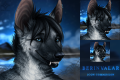 1369187921.darkice... upload