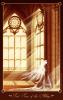 zetallis.cathedral
