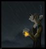 1190451366.gearotter dallon