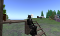 Snapshot0113_001.png