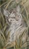 a 1214251125 dtlyn...umn cat