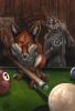 DirtyPool.jpg