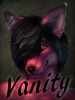 1360735052.rhyu vanity