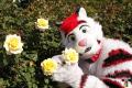 1379613657.drfur kimu flower