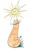 Tcheshirsky cat 72