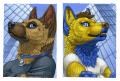 1329481595.wolf-ny... upload