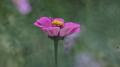DSC00007