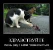 9ae88ef5344f18e2bd61243afe8