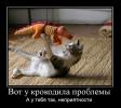 1288529819 foto 19
