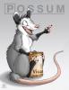 possum in da house...d31kiba