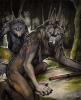 1282900927.nimrais... hunter