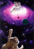 Born of the Stars