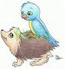 1304449033.hakuwol... birdok