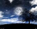 Starry_Night.jpg