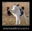 1291236694 demotivatory 14