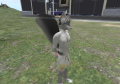 Snapshot 002