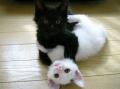 ��� ���