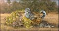 a 1297421828 lynxg...ya igra