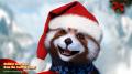 20131228081725-FrCard