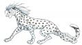 1148384236.bagheera malakai