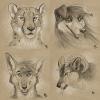 432.-star- sketches9